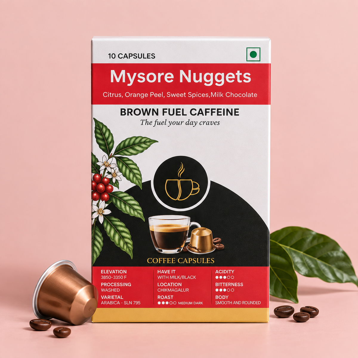 Mysore Nuggets